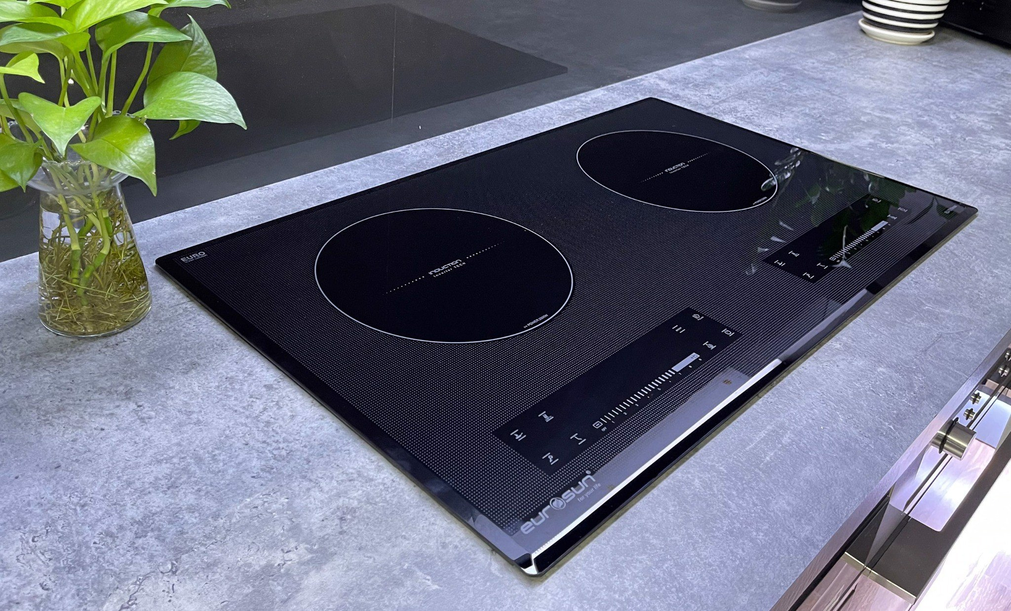 Bếp từ Eurosun EU-T210Max