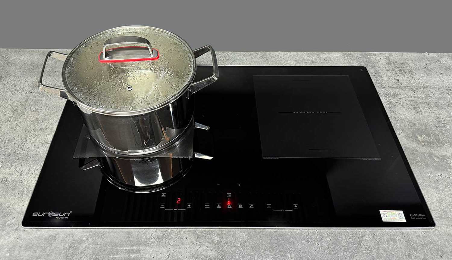 Bếp từ Eurosun EU-T256Pro