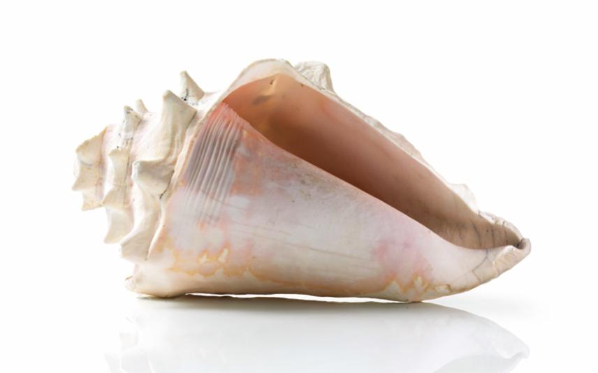 Máy hút mùi Bosch DFT93AC50 cực kỳ yên tĩnh sẽ là “trợ thủ” đắc lực Máy hút mùi Bosch DFT93AC50 cực kỳ yên tĩnh sẽ là “trợ thủ” đắc lực