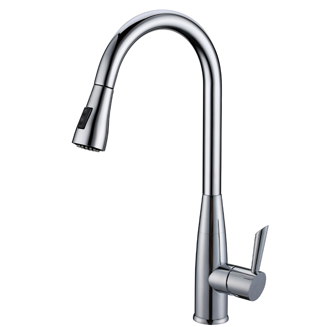 Vòi rửa Roslerer RL-268