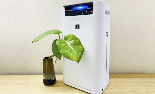 Cách sử dụng máy lọc không khí Sharp