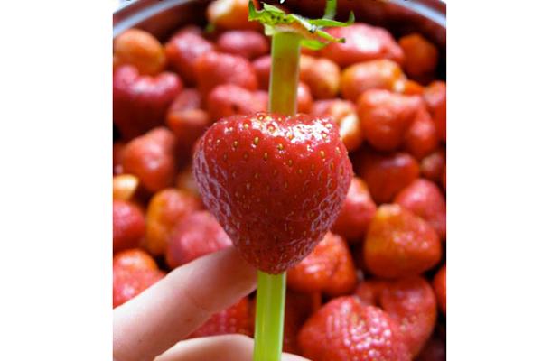 Tách lá dâu tây dễ dàng bằng ống hút