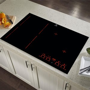 electrolux ehxd875fak 2 300x300 1