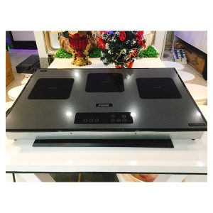 Bếp từ Pedini PDN 666G