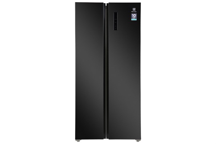 Tủ lạnh Electrolux ESE5401A-BVN