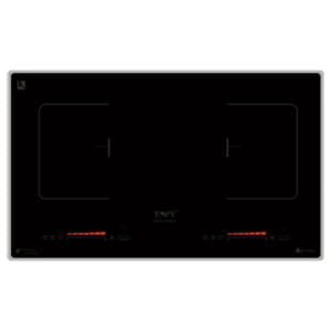 Bếp từ Topy TP-A66Plus