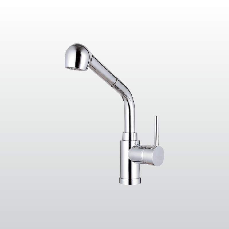 Vòi rửa Malloca K119N9