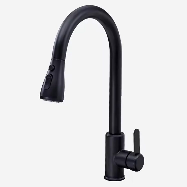 Vòi rửa Roslerer RL-805 Black