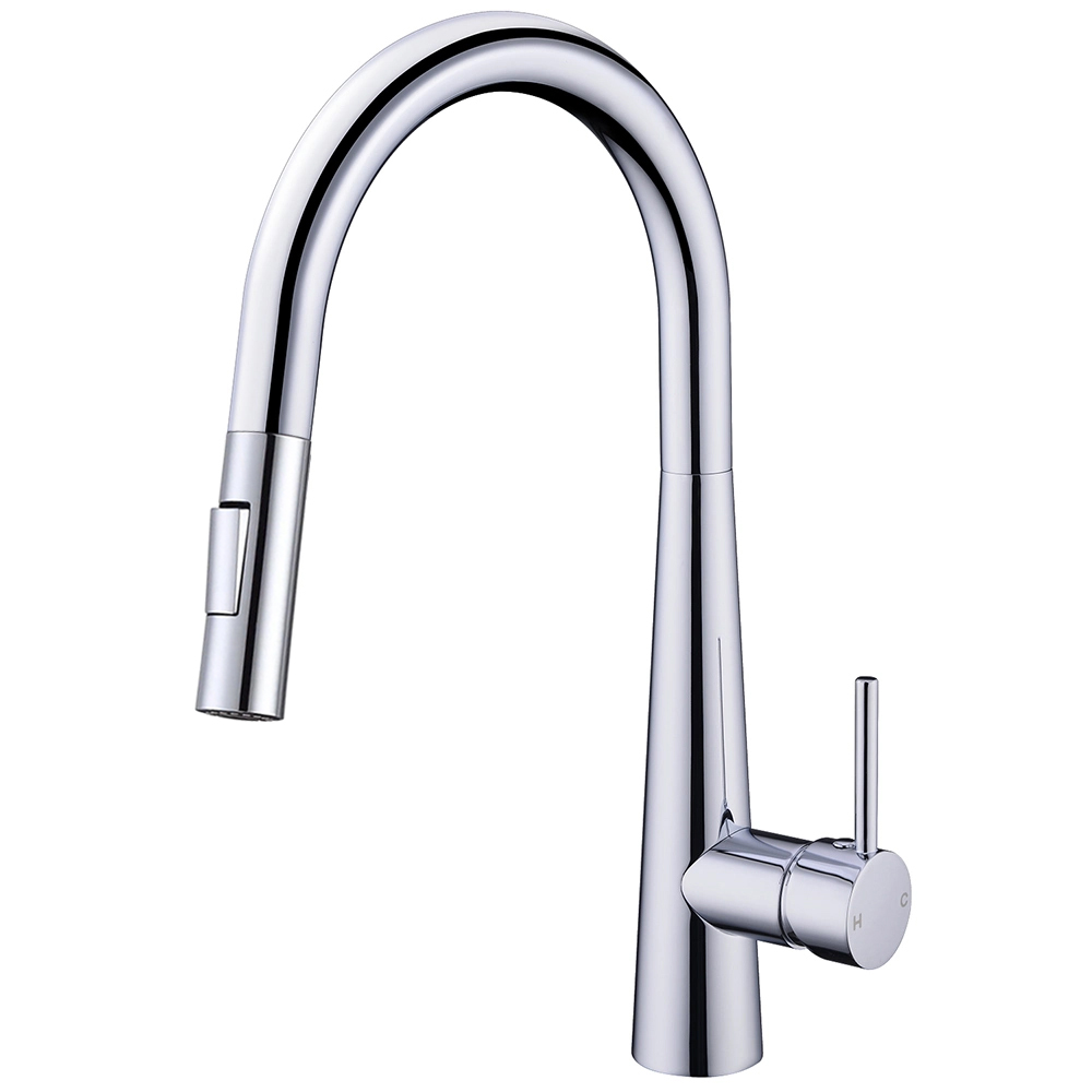 Vòi rửa Roslerer RL-168