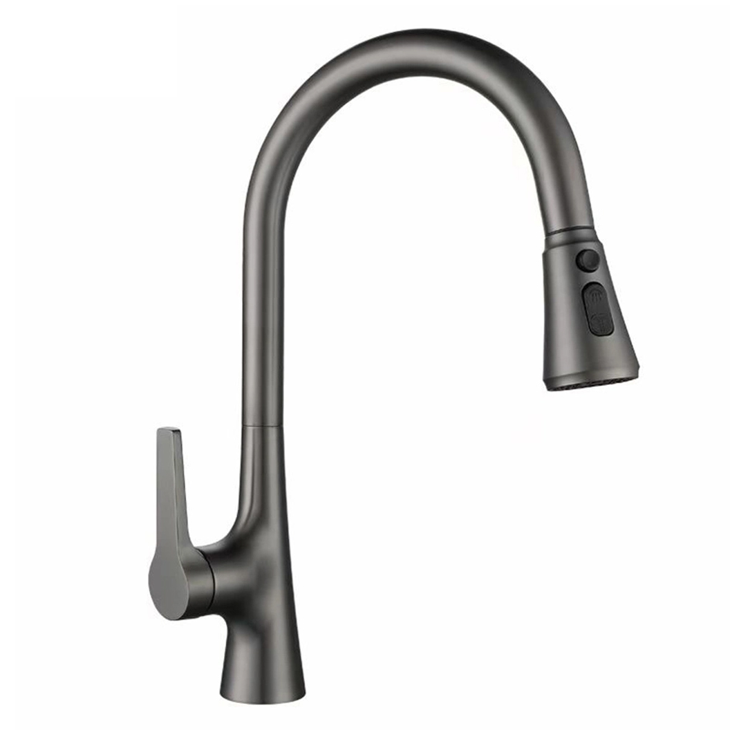 Vòi rửa Roslerer RL-688 Grey