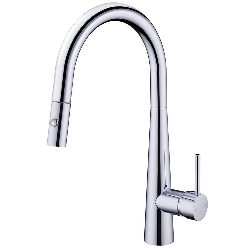 Vòi rửa Roslerer RL-968