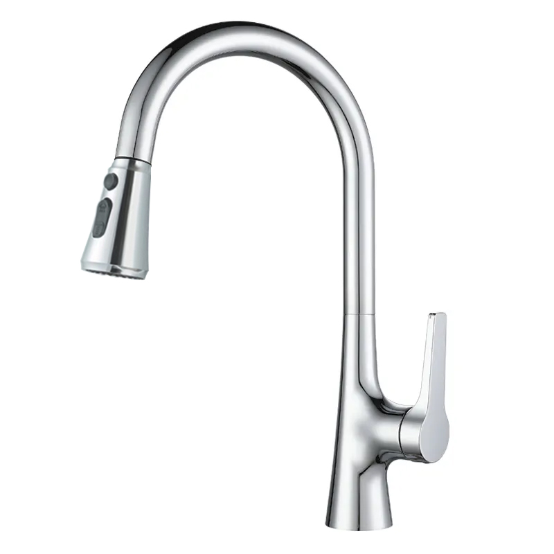 Vòi rửa Roslerer RL-986