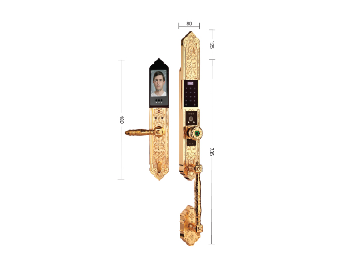 Khóa biệt thự đại sảnh DEMAX EL938 Gold APP Face ID