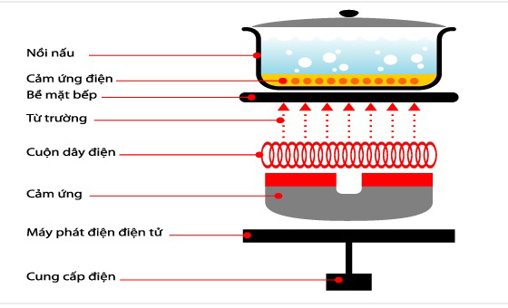 Bếp Điện Hồng Ngoại Hoạt Động Như Thế Nào? Hé Lộ Cơ Chế Ít Ai Biết!