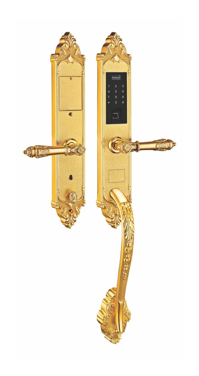 Khóa vân tay đại sảnh Kassler KL-969G