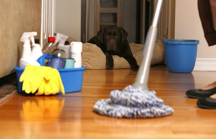 Lau nhà thường xuyên để tránh bụi bám lâu ngày