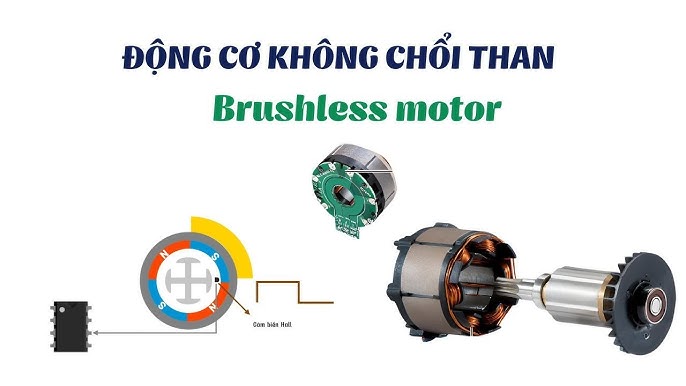 Máy rửa bát Malloca WQP6-87CP và bước tiến động cơ BLDC Inverter thế hệ mới